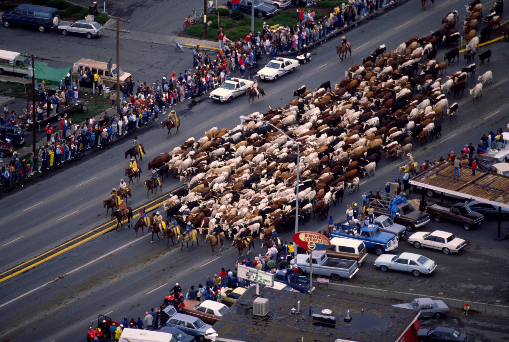 Great Montana Centennial Cattle Drive